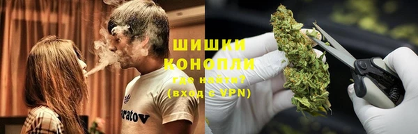 ПСИЛОЦИБИНОВЫЕ ГРИБЫ Козловка