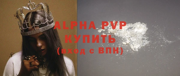ПСИЛОЦИБИНОВЫЕ ГРИБЫ Козловка