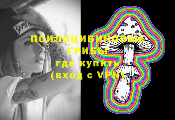 гашик Козельск