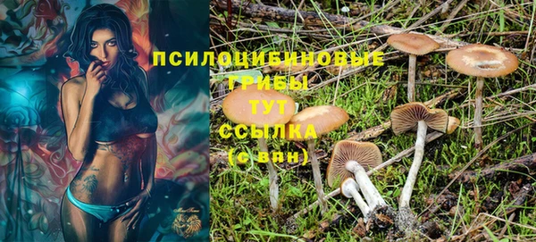 марки nbome Кодинск