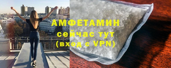 стаф Липки