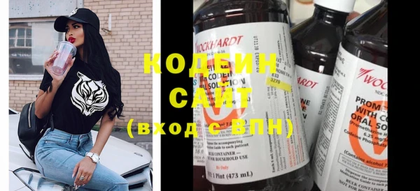 ПСИЛОЦИБИНОВЫЕ ГРИБЫ Козловка