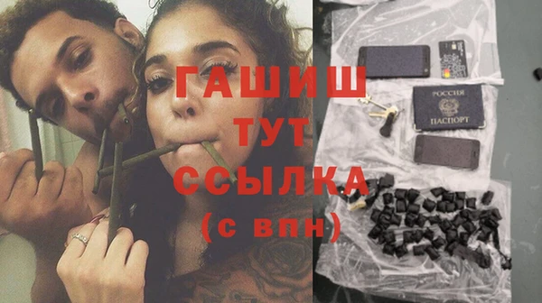 гашик Козельск