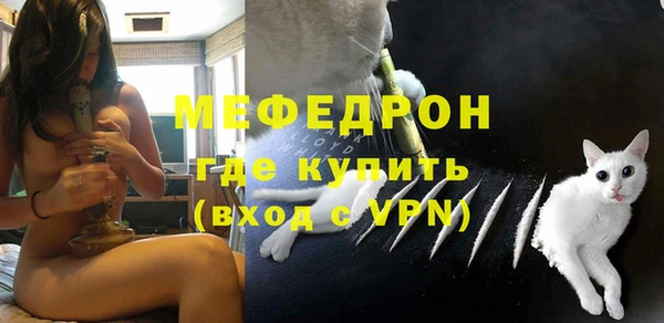 гашик Козельск