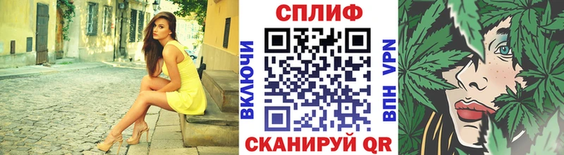 Каннабис семена наркотики Кораблино
